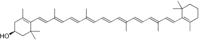 MLUTEUS_Molecule