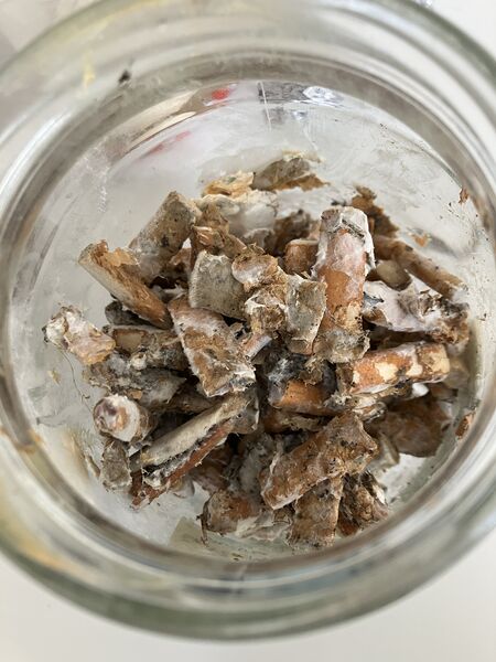 File:No bioremed.jpg