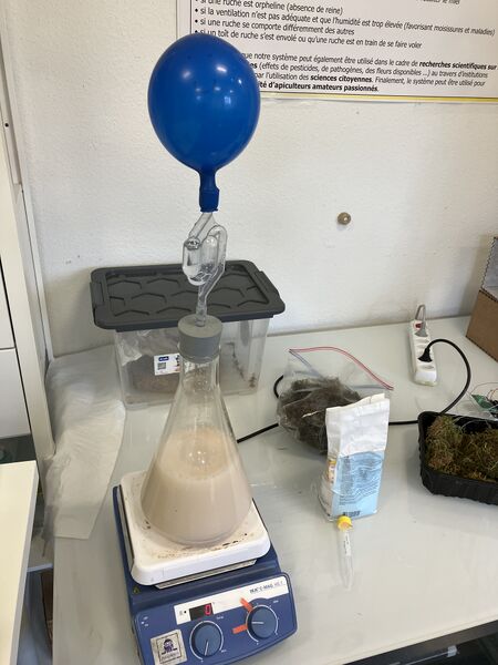 File:After about 15 minutes.jpg