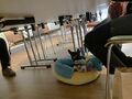 Thumbnail for version as of 12:40, 19 July 2026