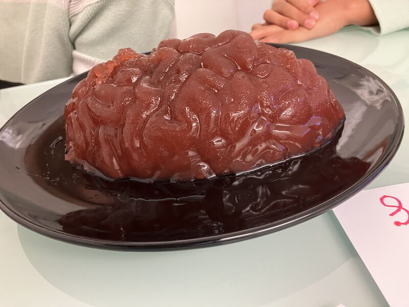 File:Brainjelly.jpg